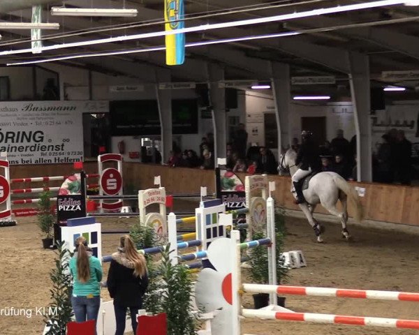 30. Hallen-Reit- und Springturnier Vreden
