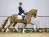 dressage horse Quelle belle (Westphalian, 2013, from Quasar de Charry)