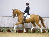 dressage horse Von Dutch DB (Westphalian, 2012, from Vitalis)