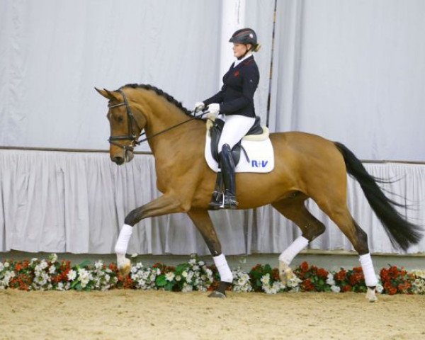 dressage horse Vitaly (Westphalian, 2012, from Vitalis)