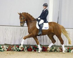 dressage horse Don Joopi (Westphalian, 2012, from Don Juan de Hus)