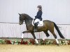 dressage horse Fortissimo (Westphalian, 2012, from Franziskus FRH)