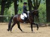 dressage horse Dynamic (Westphalian, 2007, from Diamond Hit)