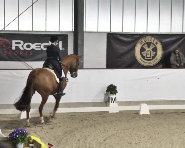 Reitturnier Karlsfeld/Obb. 2020