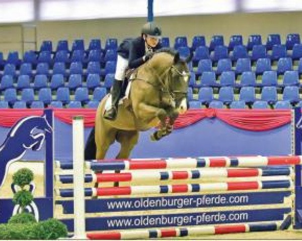 Springpferd Bon Royal (Deutsches Reitpony, 2010, von Llaun Bonheddwr)