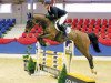 jumper Lehar (Oldenburg show jumper, 2011, from Lord Pezi)