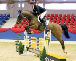 jumper Lehar (Oldenburg show jumper, 2011, from Lord Pezi)