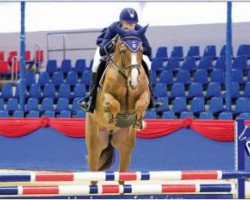 jumper Get A Second Wind - H (Oldenburg show jumper, 2011, from Calvaro Z)