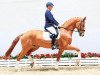 dressage horse Broadway (Oldenburg, 2012, from Bordeaux 28)