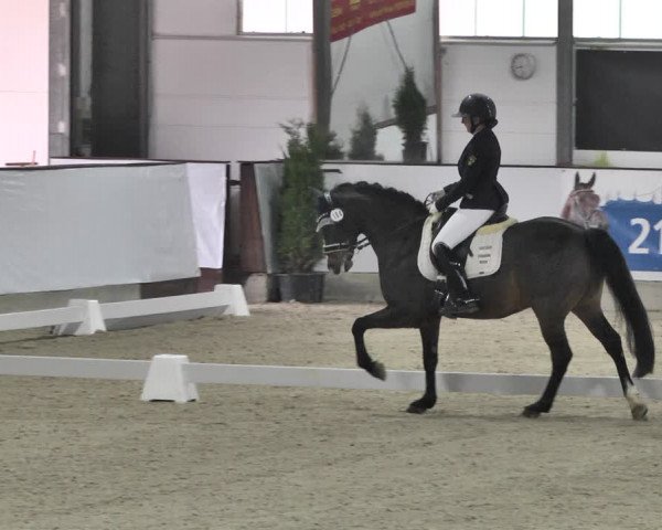 Reitturnier Karlsfeld/Obb. 2020