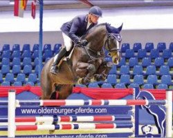 stallion Curt M (Oldenburg show jumper, 2010, from Cellestino)