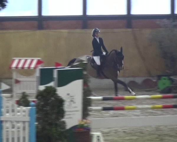 Reitturnier Monheim - Gut Blee 2020