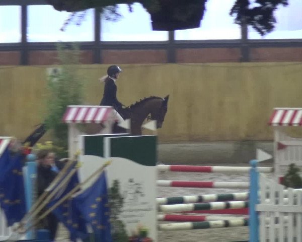 Reitturnier Monheim - Gut Blee 2020