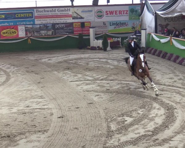 Reitturnier Keppeln - Reitanlage "Hötzenhof" 2020