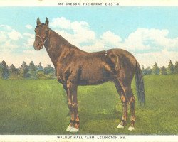 stallion McGregor the Great 68205 (US) (American Trotter, 1915, from Peter the Great 28955 (US))