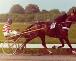 horse Henri Buitenzorg (NL) (Traber, 1966, from Lullwater Victory (US))