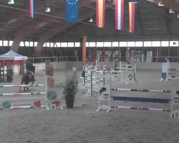 Reitturnier Heidelberg-Kirchheim 2020