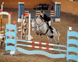 horse Dalija (Latvian Warmblood, 2007, from Donnerbube II)