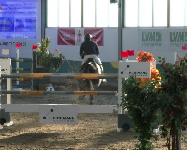 Reitturnier Warendorf-Freckenhorst 2020