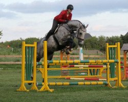 dressage horse Cronus (Holsteiner, 2006, from Contact Me)