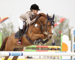 jumper Devinus (German Riding Pony, 2007, from FS Don't Worry)