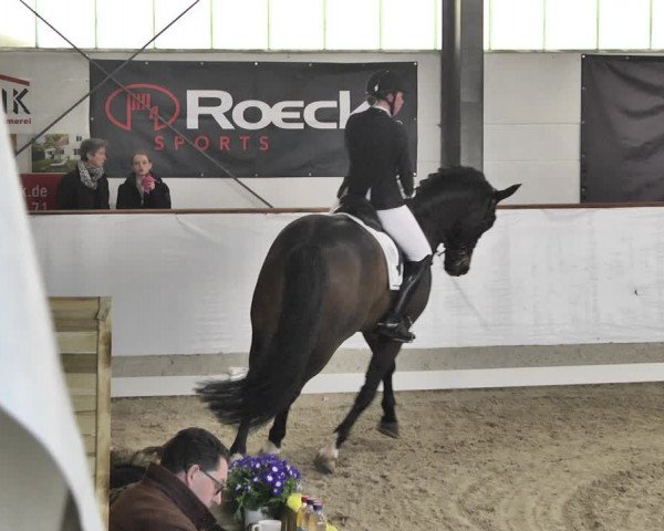 Reitturnier Karlsfeld/Obb. 2020