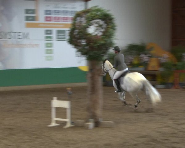 Reitturnier Warendorf-Freckenhorst 2020
