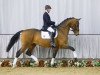 dressage horse Barny 74 (KWPN (Royal Dutch Sporthorse), 2013, from Bordeaux 28)