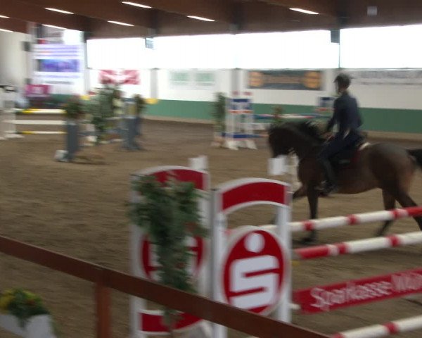 Reitturnier Warendorf-Freckenhorst 2020