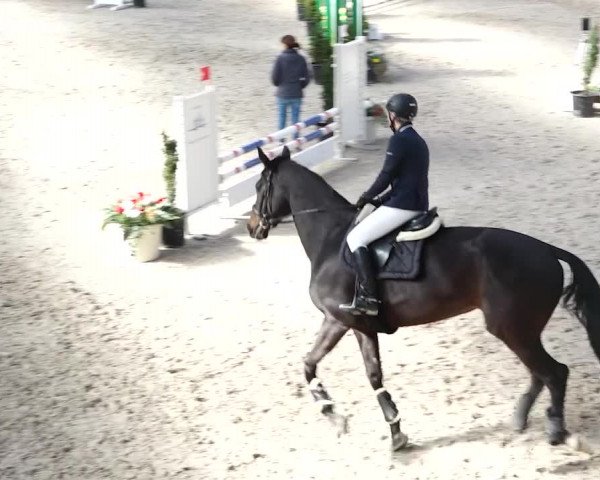 Reitturnier Oberriet 2020