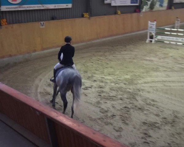 Reitturnier Monheim - Gut Blee 2020