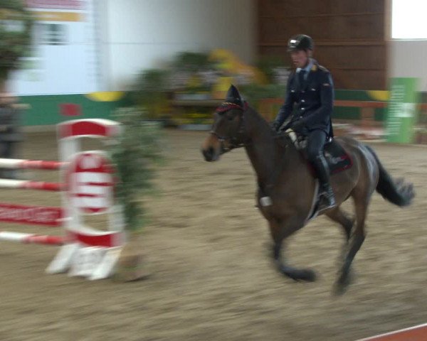 Reitturnier Warendorf-Freckenhorst 2020