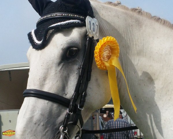 dressage horse Carlos de la Vega (unknown, 2004)