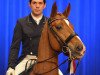 dressage horse Lorenzo (Bavarian, 2006, from Lord Loxley I)