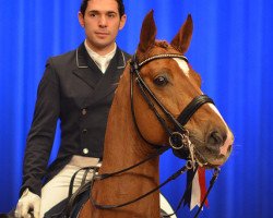 dressage horse Lorenzo (Bavarian, 2006, from Lord Loxley I)