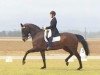 dressage horse Antonello (Hanoverian, 2001, from Anamour)