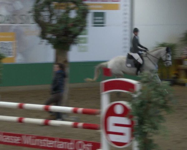 Reitturnier Warendorf-Freckenhorst 2020