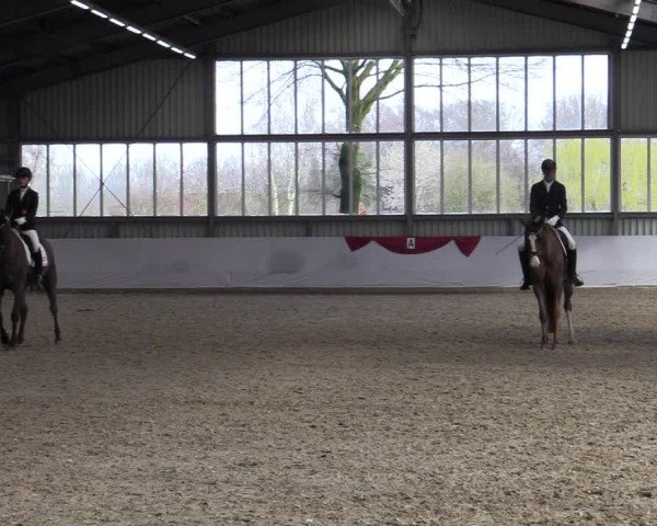 Reitturnier Greven 2020