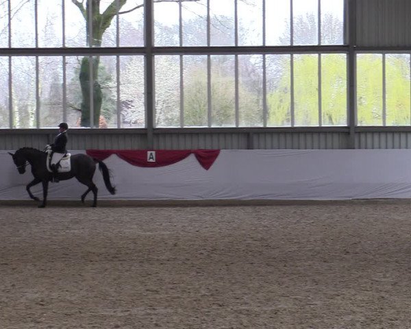 Reitturnier Greven 2020