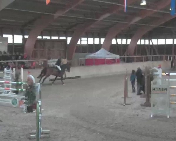 Reitturnier Heidelberg-Kirchheim 2020