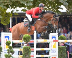 stallion Champion de Cord (Holsteiner, 2001, from Champion du Lys)