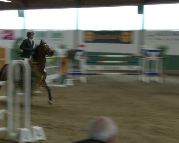 Reitturnier Warendorf-Freckenhorst 2020