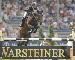 stallion Credo 17 (Holsteiner, 2001, from Caretino)