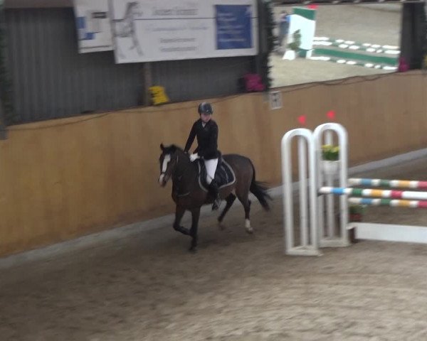 Reitturnier Monheim - Gut Blee 2020