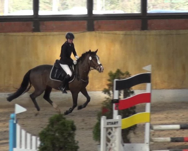 Reitturnier Monheim - Gut Blee 2020
