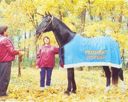 stallion Prospekt (Orlov Trotter, 1978, from Pion)