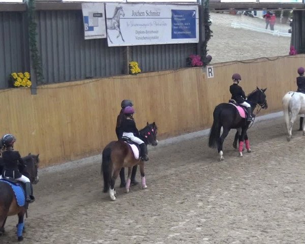 Reitturnier Monheim - Gut Blee 2020