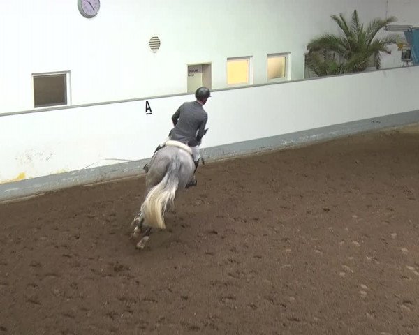 Reitturnier Münchehofe 2020