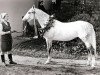 stallion Pion (Orlov Trotter, 1966, from Otklik)
