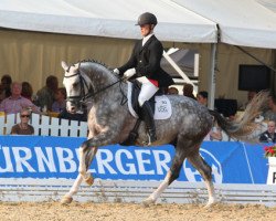 stallion Auheim's del Magico FRH (Hanoverian, 2008, from Dimaggio)